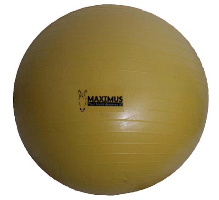 Arion Maximus Power Play Ball image 0